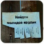 Объявление на заборе